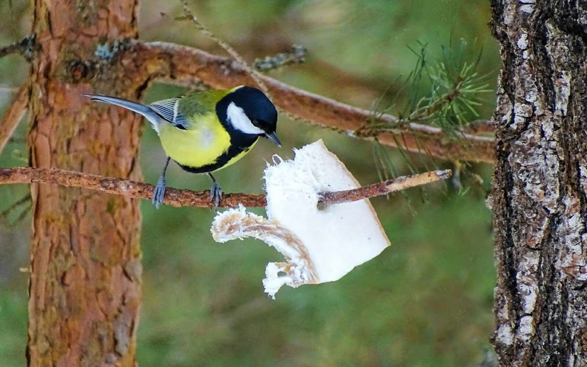 ���� �� ��! ����� �������� �������� �� PhotoGeek.ru #�������� ���