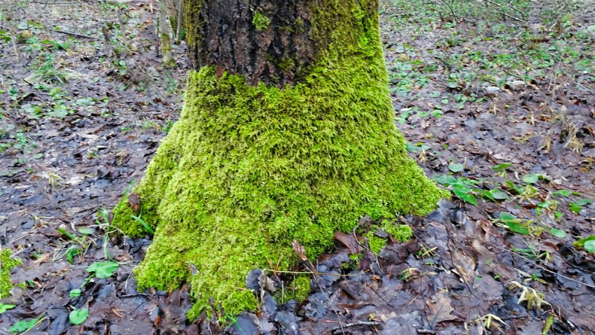 ������ "����" �� ������ �����. ����� �������� �������� �� PhotoGeek.ru #����� #������ ��� �������