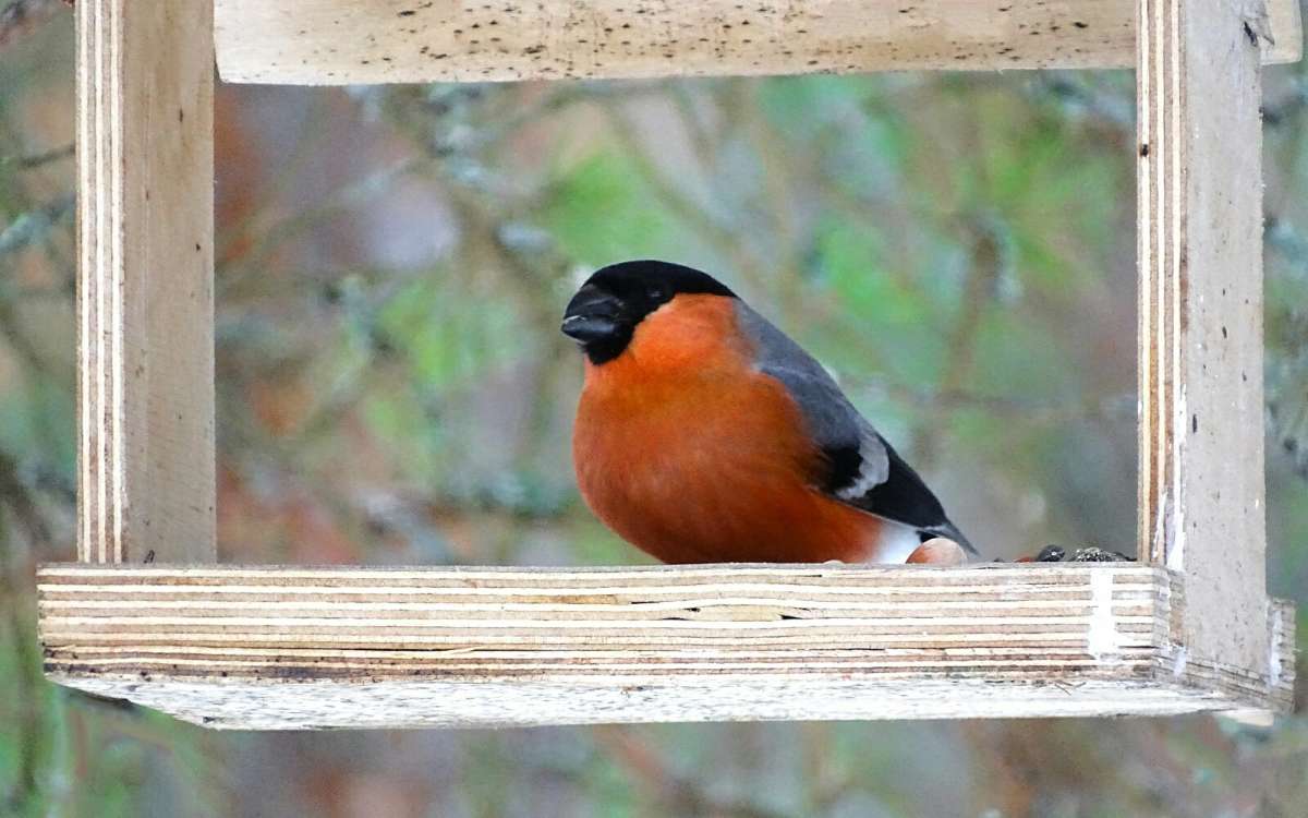 ������� ������� � ������ ��������. ����� �������� �������� �� PhotoGeek.ru #�������� ���