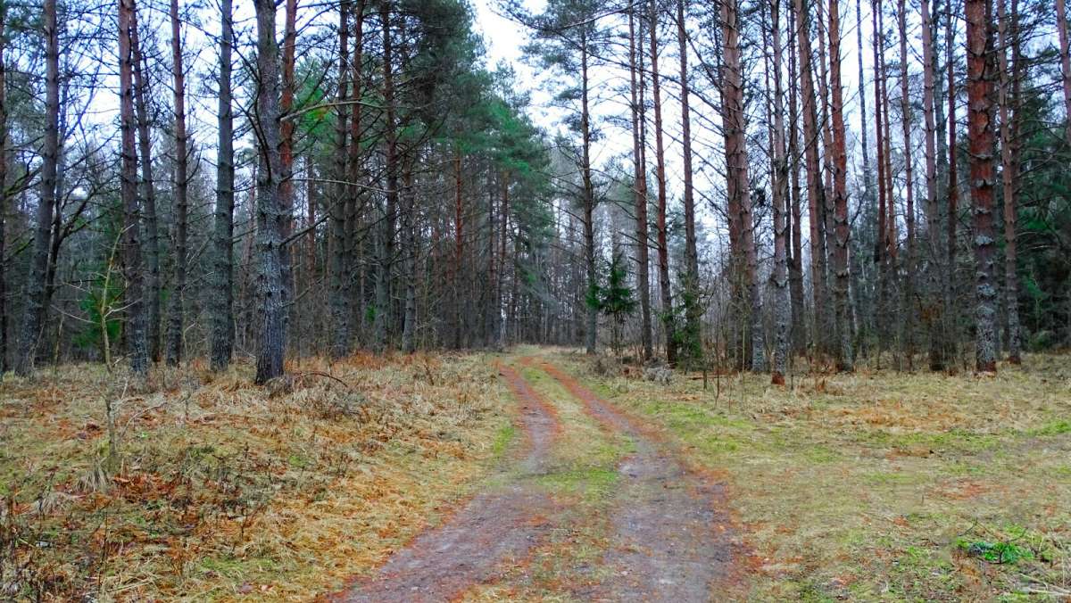 ��������� ��� � ����� ������. ����� �������� �������� �� PhotoGeek.ru #������ ��� �������