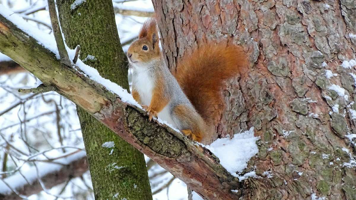 ����� ���������� �����. ����� �������� �������� �� PhotoGeek.ru #����� #�������� ���