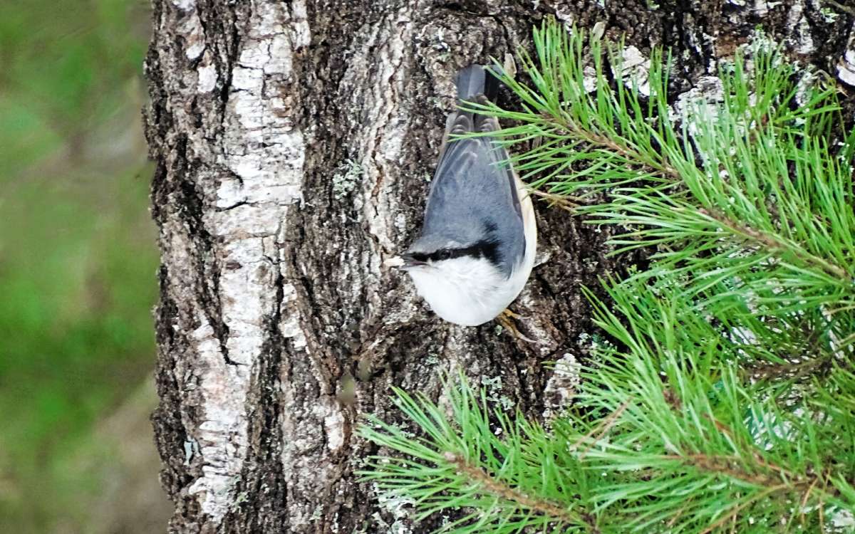 ��������� ����� �������� �������� �� PhotoGeek.ru #�������� ���