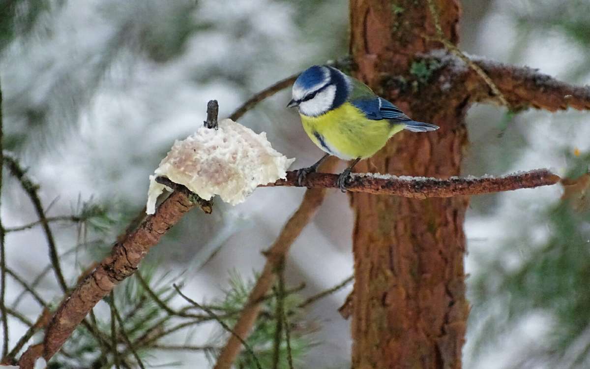 "����� �� ���� ������, ��� ��� ����� ��������?" ����� �������� �������� �� PhotoGeek.ru #�������� ���