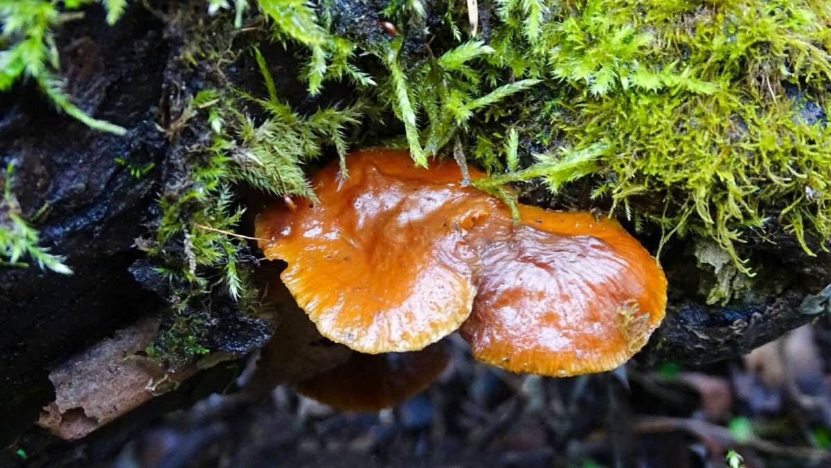 ����� ����� ��� ������, ���� �������, � ����� ��������. ����� �������� �������� �� PhotoGeek.ru #����� #������ ��� �������