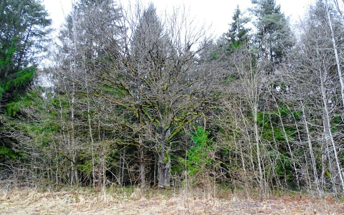 ����� � ��������� ���� ������� ���. ����� �������� �������� �� PhotoGeek.ru #������ ��� �������