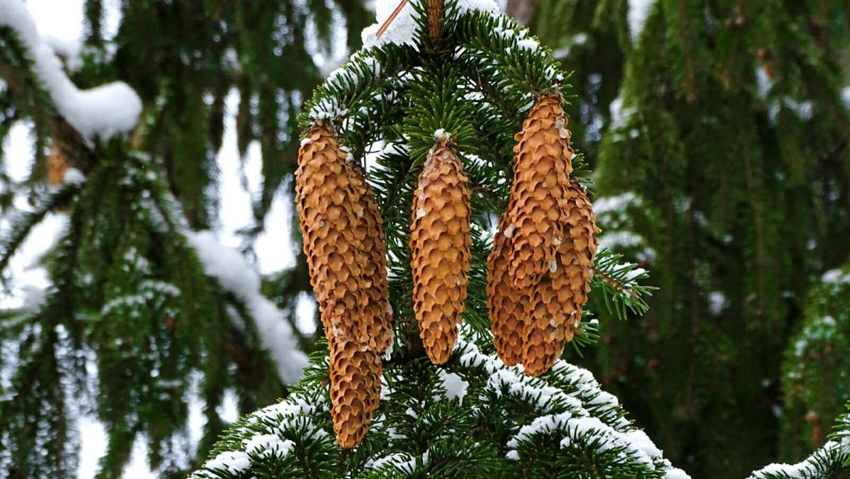 ����� �� ���. ����� �������� �������� �� PhotoGeek.ru #����� #�����