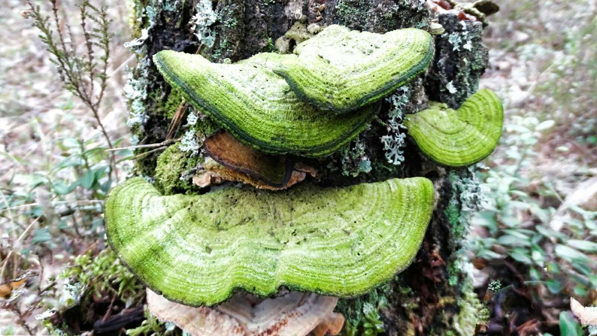 ��������� ����� �� �������� ���. ����� �������� �������� �� PhotoGeek.ru #�����