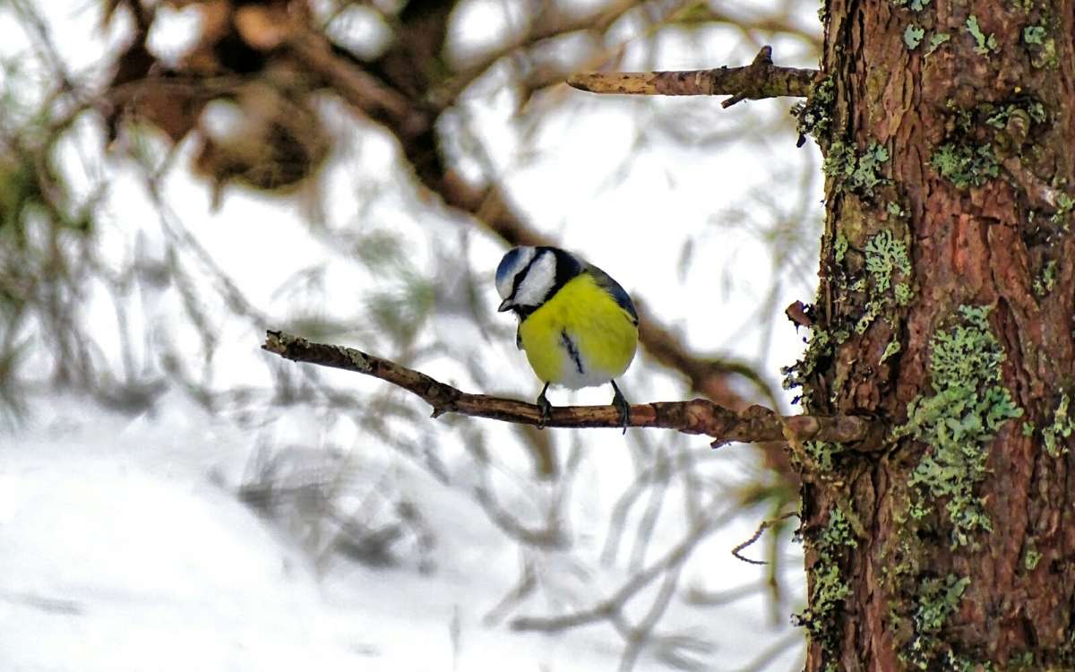 ��������� ������������. ����� �������� �������� �� PhotoGeek.ru #�������� ���