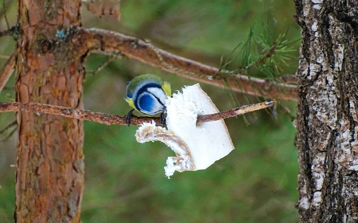 ������� ����. ����� �������� �������� �� PhotoGeek.ru #�������� ���