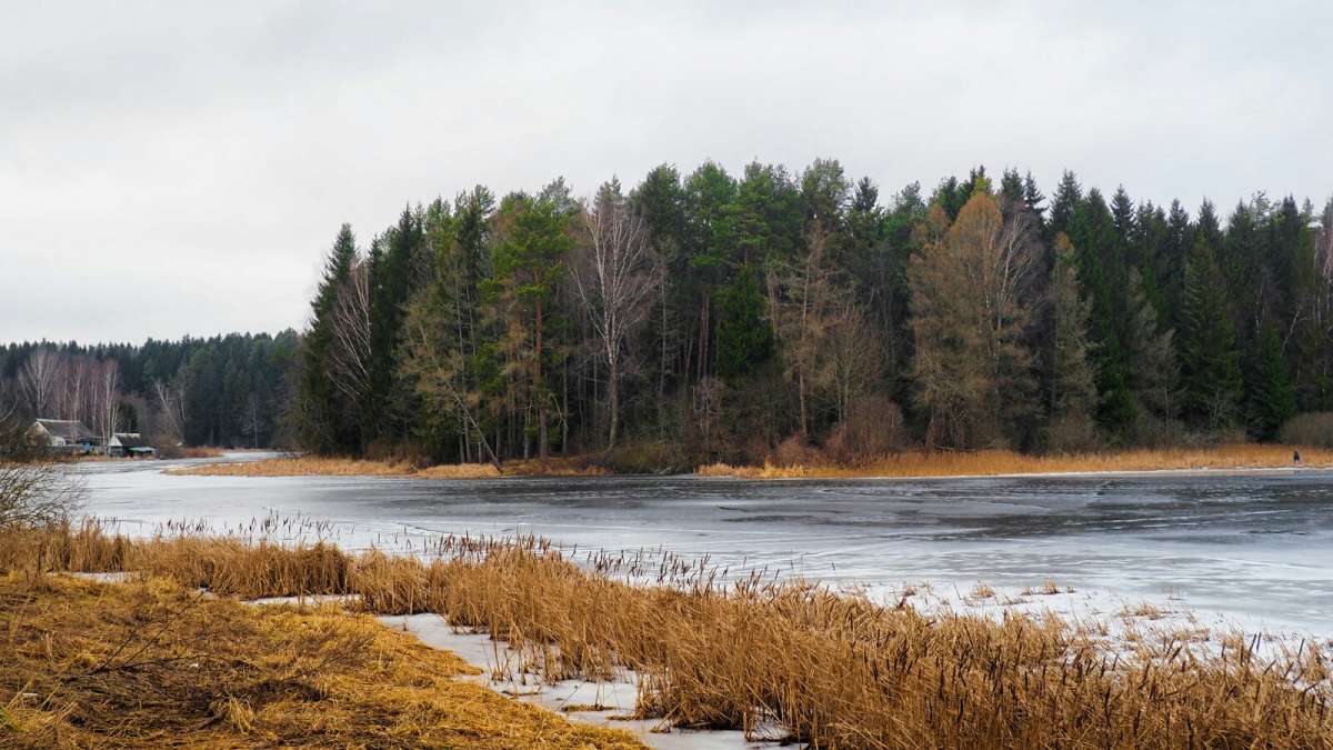 ����� ��� ����������, �������� ������. ����� �������� �������� �� PhotoGeek.ru #������ ��� �������