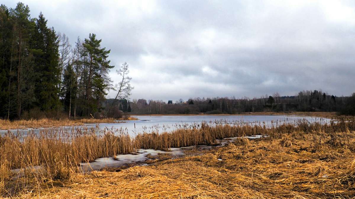 ��������� ���� ������. ����� �������� �������� �� PhotoGeek.ru #������ ��� �������