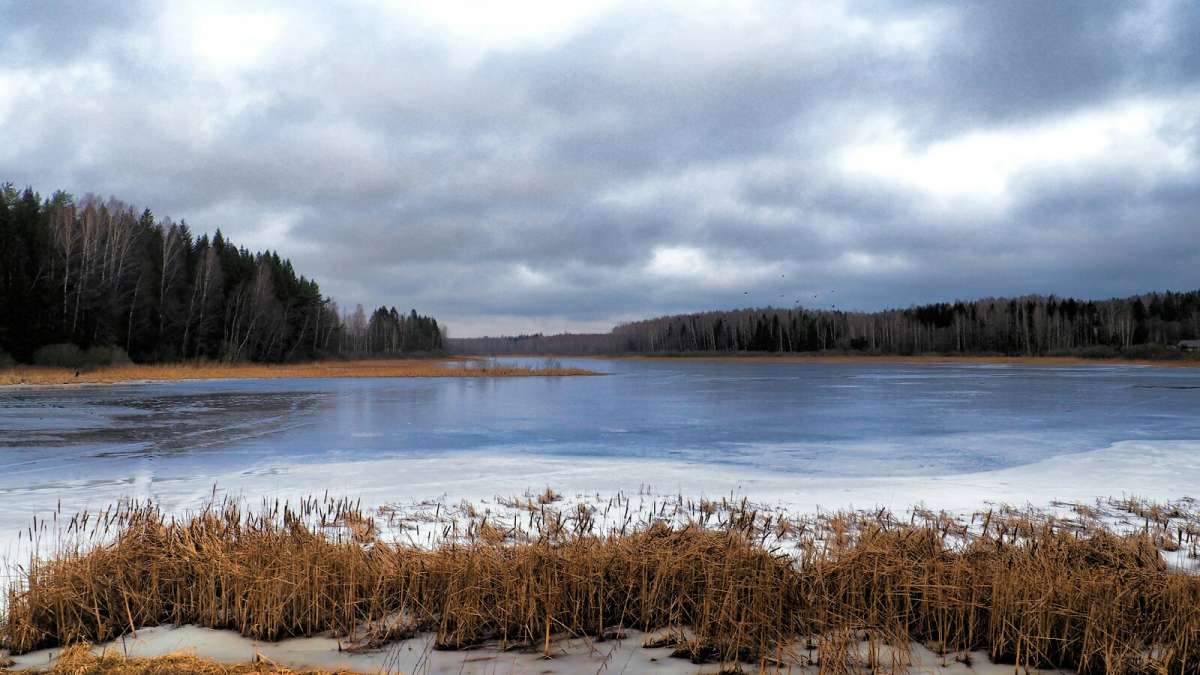 ��� ���������� ����. ����� �������� �������� �� PhotoGeek.ru #������ ��� �������