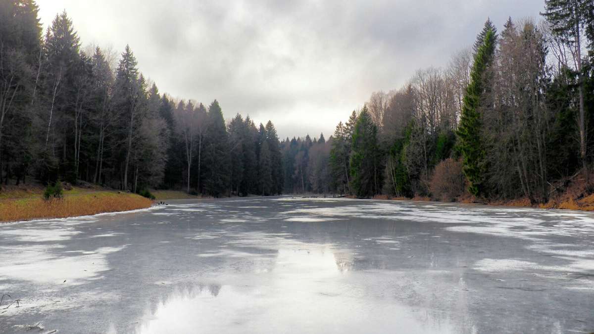 ���������� ����. ����� �������� �������� �� PhotoGeek.ru #������ ��� �������