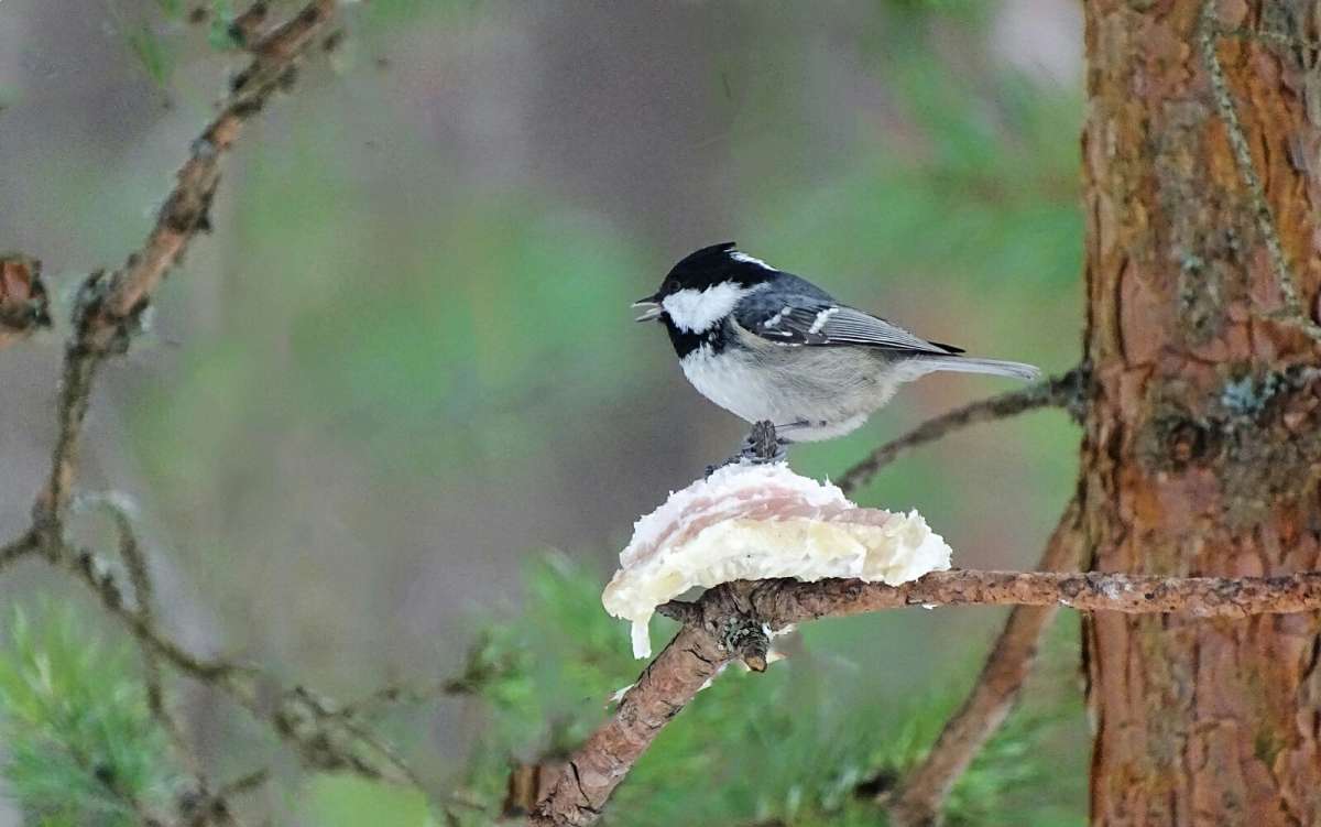 ���� ����� �� ������! ����� �������� �������� �� PhotoGeek.ru #�������� ���