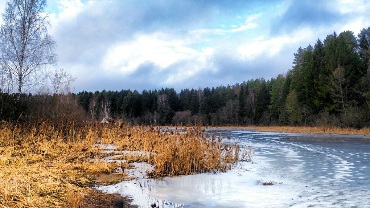 ������ ������, ��������� �������. ����� �������� �������� �� PhotoGeek.ru #������ ��� �������