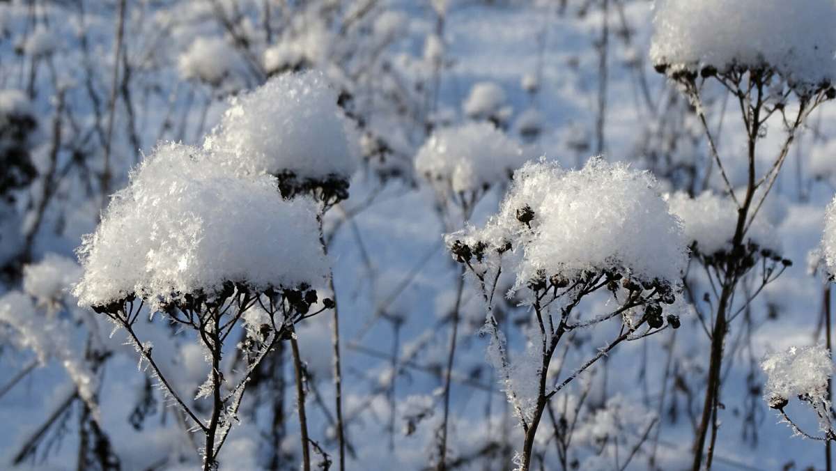 ��� �������� ������. ����� �������� �������� �� PhotoGeek.ru #����� #������ ��� �������