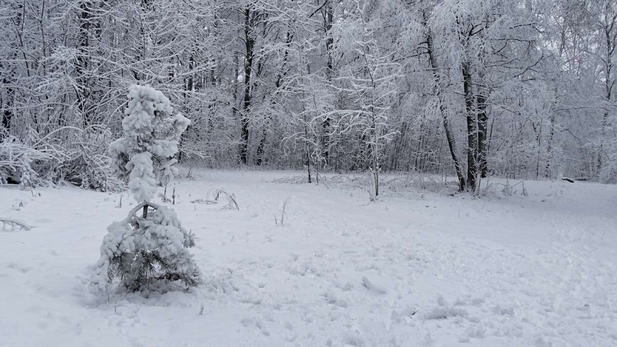 ��� �������� ������ ����� �������� �������� �� PhotoGeek.ru #������ ��� �������