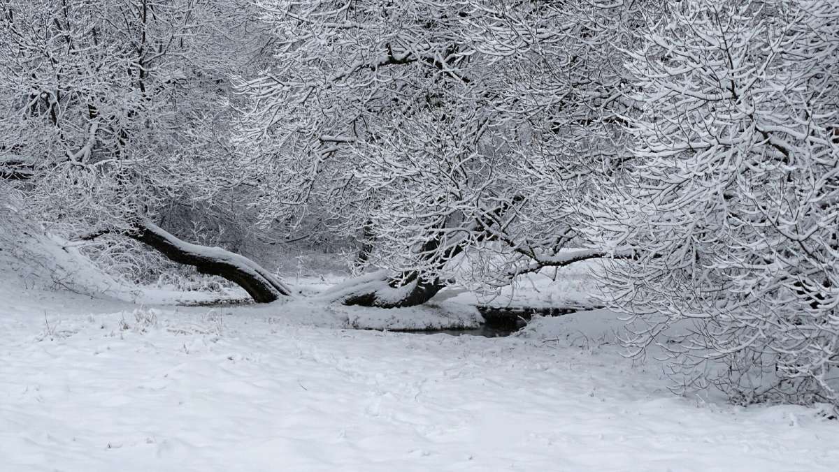 ��� �������� ������ ����� �������� �������� �� PhotoGeek.ru #������ ��� �������