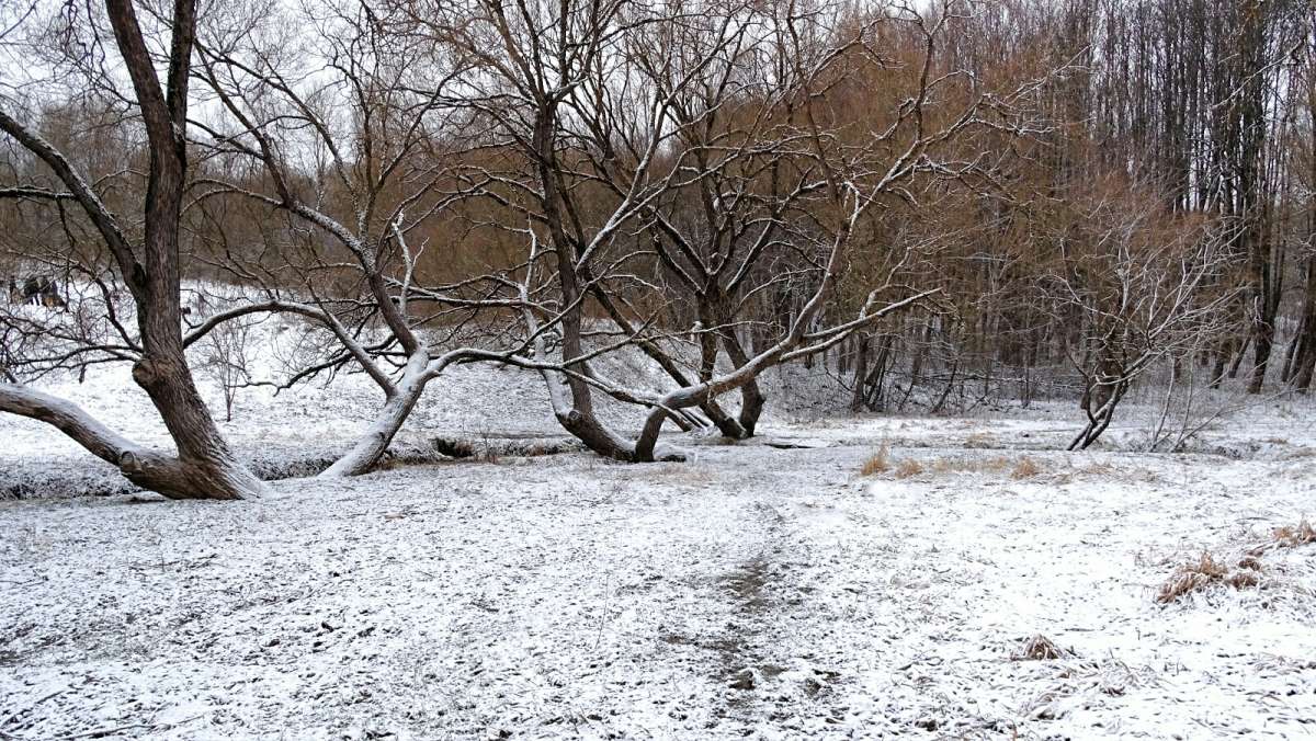 "���������" �������. ����� �������� �������� �� PhotoGeek.ru #����� #������ ��� �������