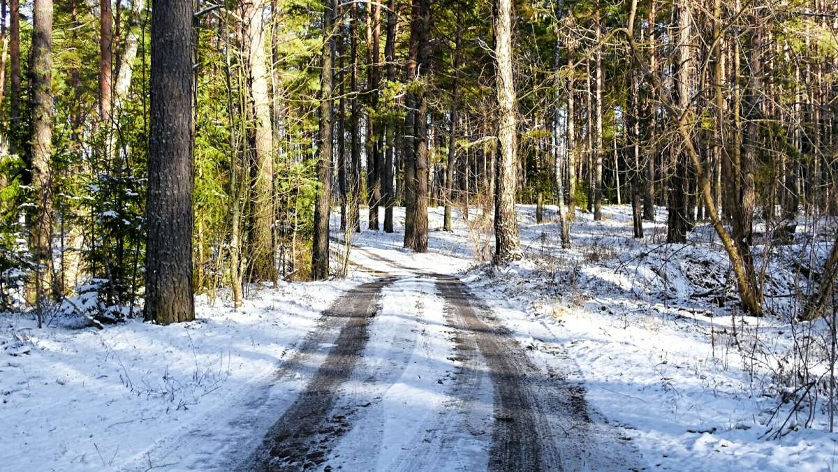 � ������ ����. ����� �������� �������� �� PhotoGeek.ru #������ ��� �������