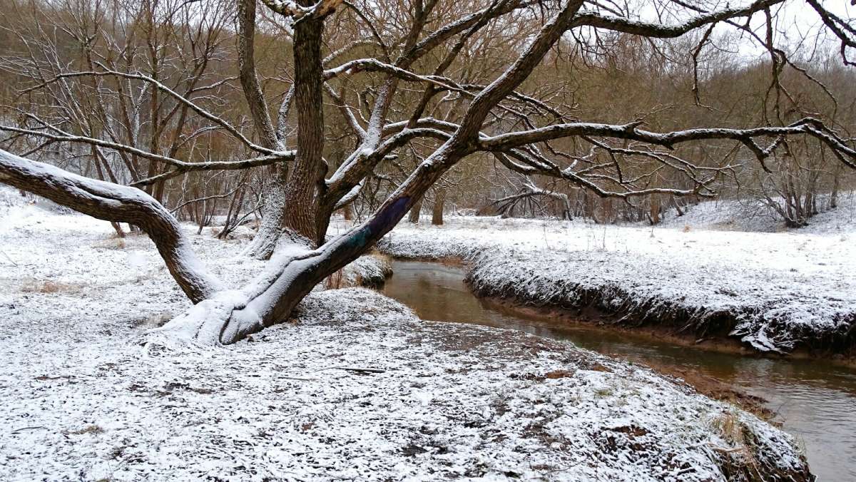 � ��������� �����. ����� �������� �������� �� PhotoGeek.ru #����� #������ ��� �������