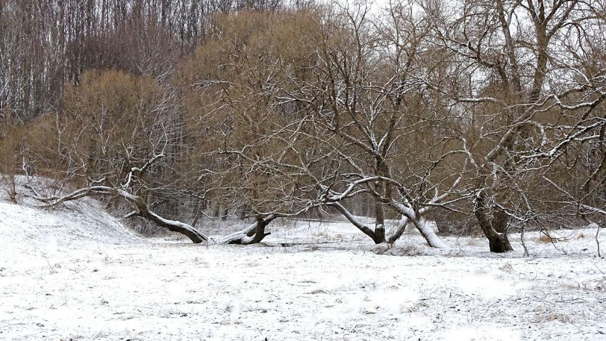 ��������� ���� � ������ �������. ����� �������� �������� �� PhotoGeek.ru #����� #������ ��� �������