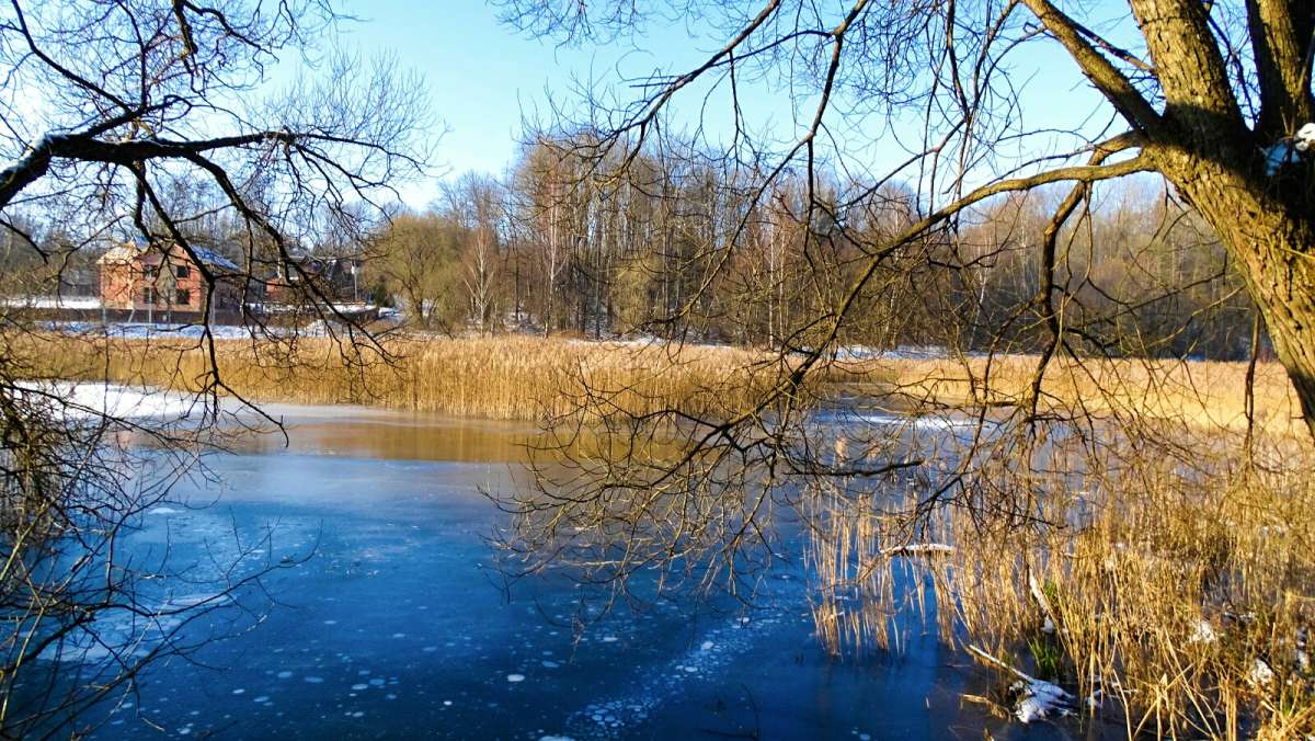 ��� ���� ����� �������� �������� �� PhotoGeek.ru #������ ��� �������