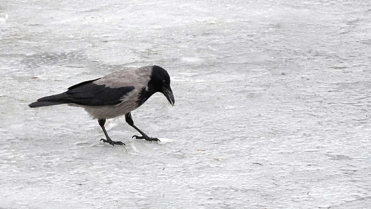 ������ � ���������. ����� �������� �������� �� PhotoGeek.ru #����� #�������� ���