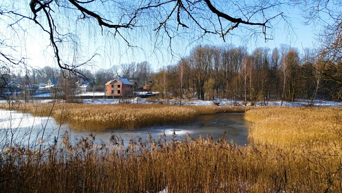 �������������� ����������� 