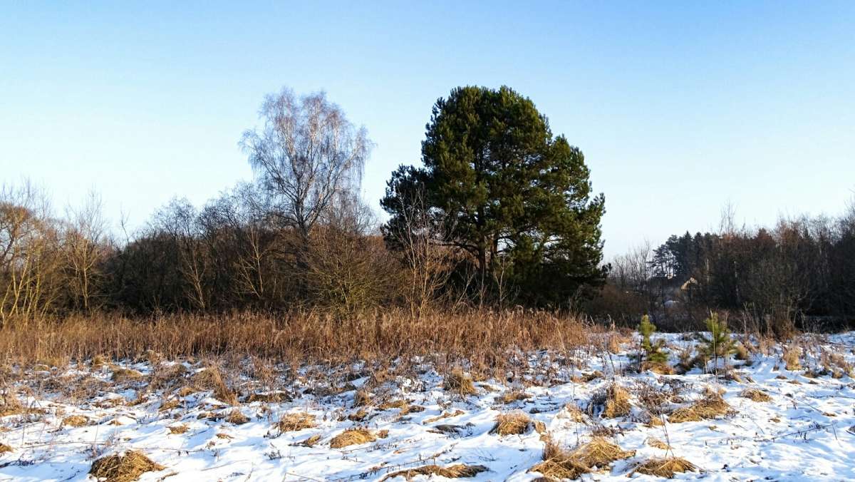 ���������� ������ ����� � �����, ������ ����� ����� 40 ���. ����� �������� �������� �� PhotoGeek.ru #������ ��� �������