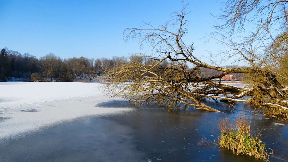 ���� ������� ������ � �����. ����� �������� �������� �� PhotoGeek.ru #������ ��� �������