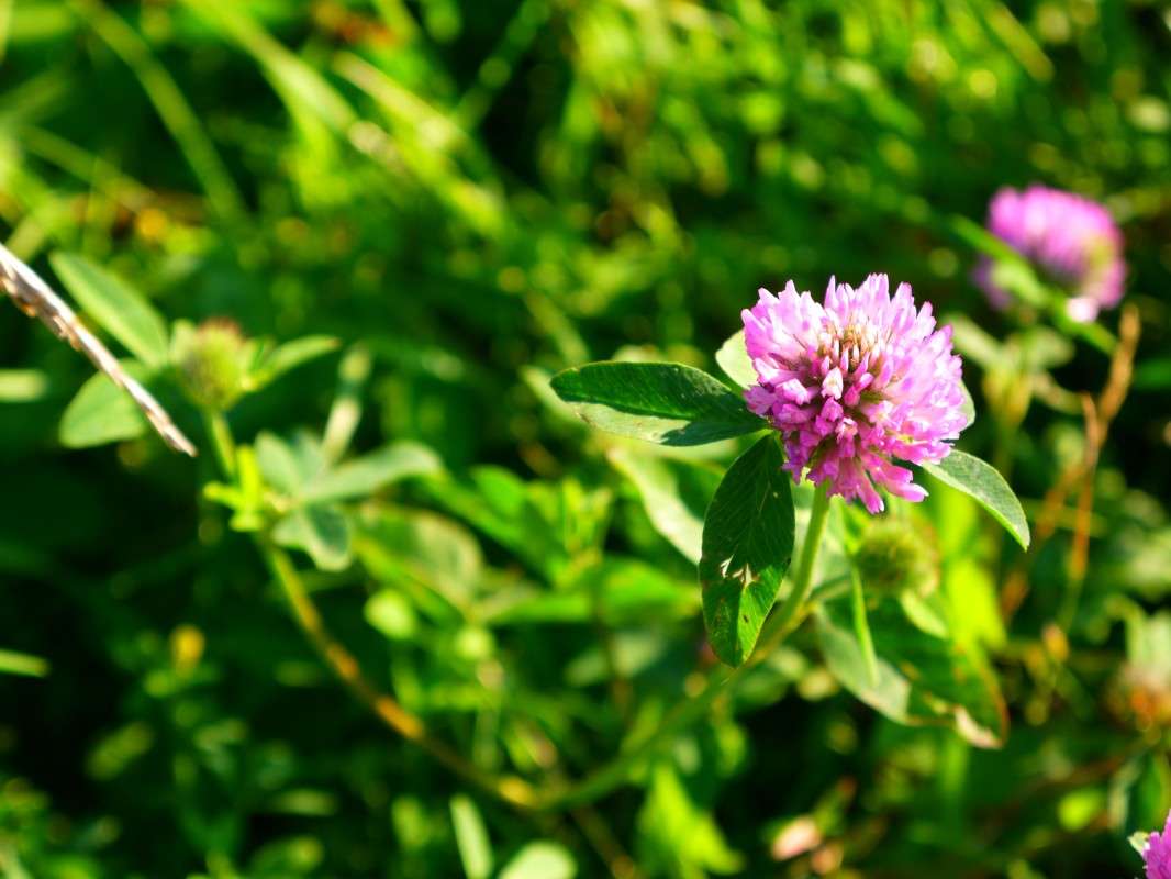 �������� ������� ����� ������� Ը������ �� PhotoGeek.ru #�����