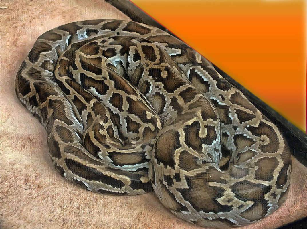 �����! ����� ���� �����! ����� ������ ��������� �� PhotoGeek.ru #�������� ��� #���� #�����