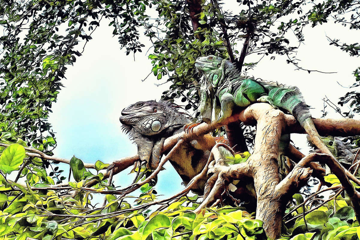 � ������-2 ����� ������ ��������� �� PhotoGeek.ru #�������� ���