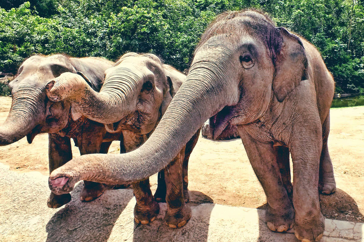 ���������, ������ ��� �������! ����� ������ ��������� �� PhotoGeek.ru #�������� ���