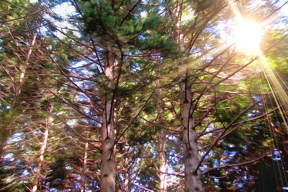 ������ �������� ����... ����� ������ ��������� �� PhotoGeek.ru #������ ��� �������