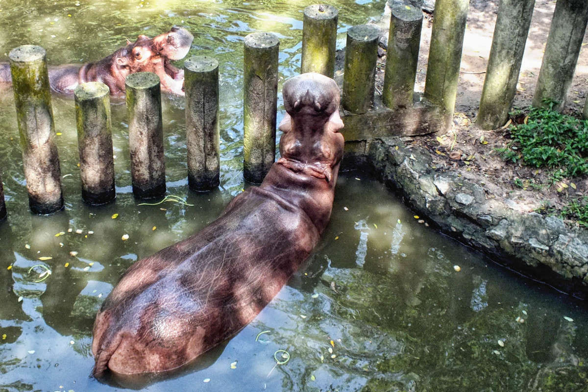 � ���� �� �� � ���� ���? ����� ������ ��������� �� PhotoGeek.ru #�������� ���