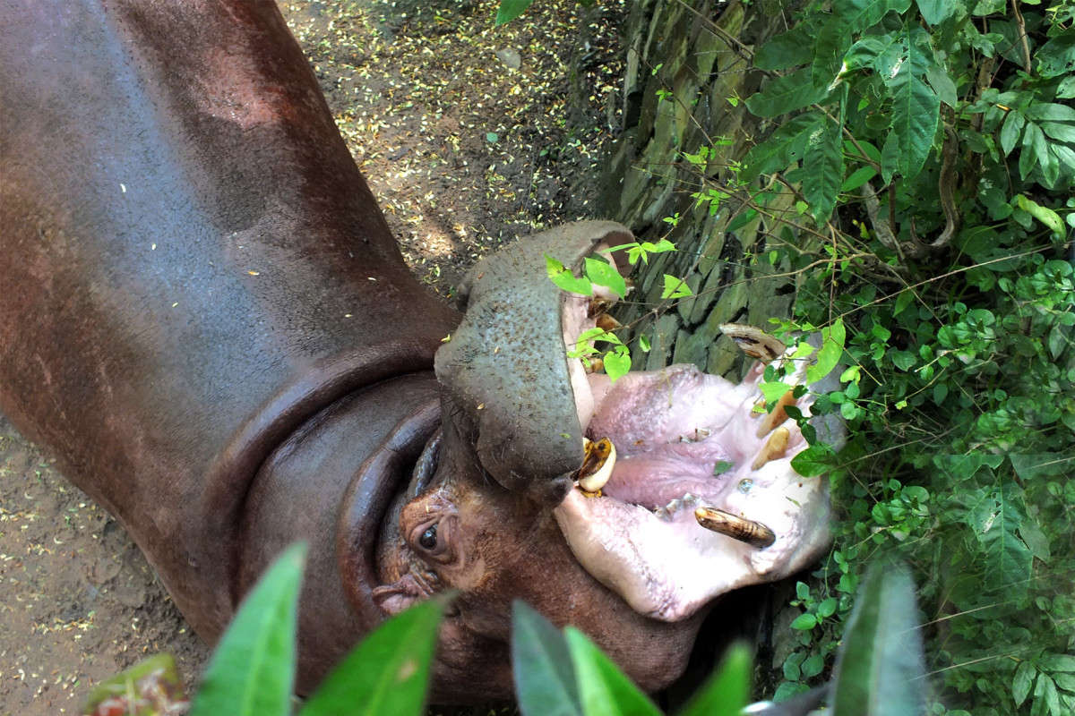 ��� ��� "��?" ����� ������ ��������� �� PhotoGeek.ru #�������� ���