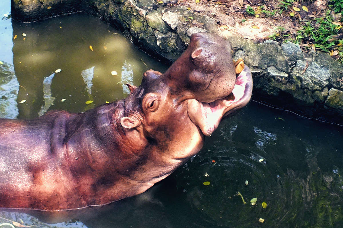 ���� ����? ����� ������ ��������� �� PhotoGeek.ru #�������� ��� #�������� #�������