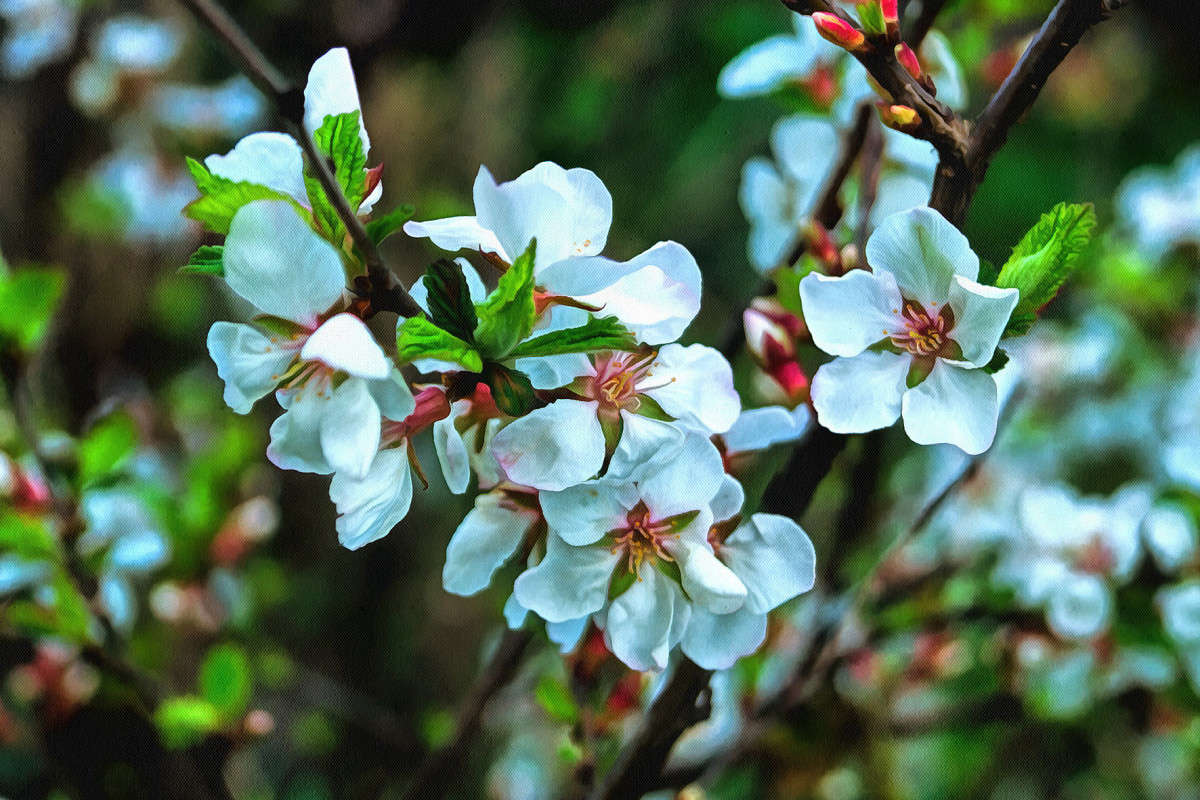 ������� �������� ����� ������ ��������� �� PhotoGeek.ru #������ ��� �������