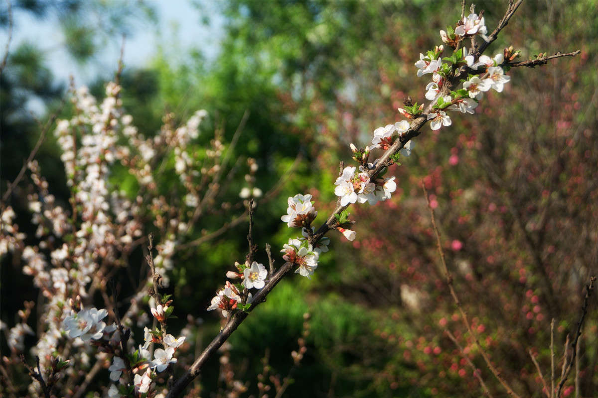 �� ��� ���! ����� ������ ��������� �� PhotoGeek.ru #������ ��� �������