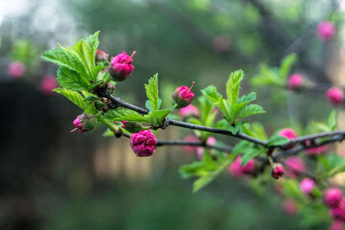 ������ ����! ����� ������ ��������� �� PhotoGeek.ru #������ ��� �������