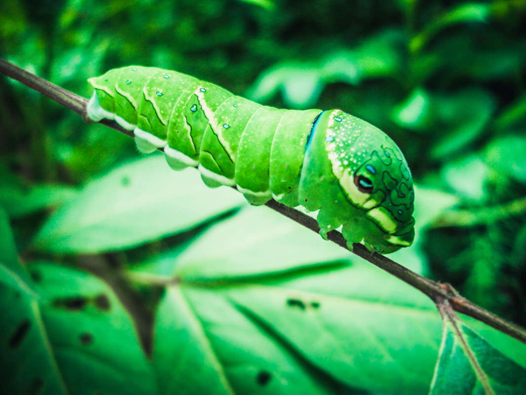 �������� ����� ������  �� PhotoGeek.ru #������ ��� �������