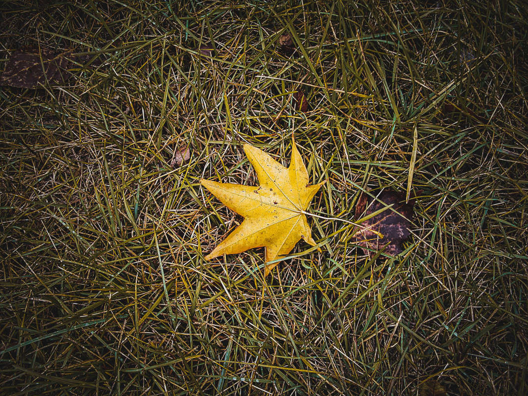 �������� ���� ����� ������  �� PhotoGeek.ru #������ ��� �������