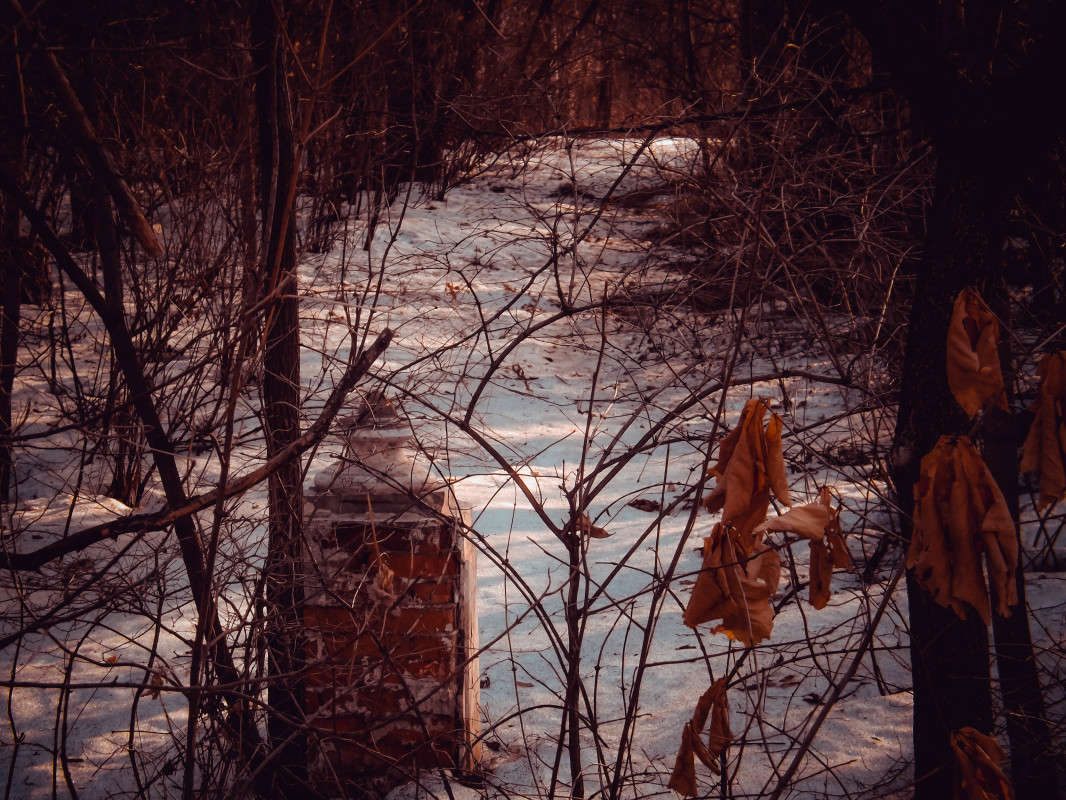 � ����� ����� ������  �� PhotoGeek.ru #������ ��� �������