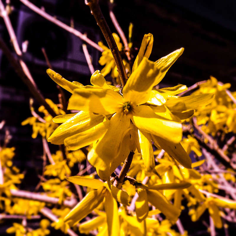 ����� ����� ������  �� PhotoGeek.ru #������ ��� �������