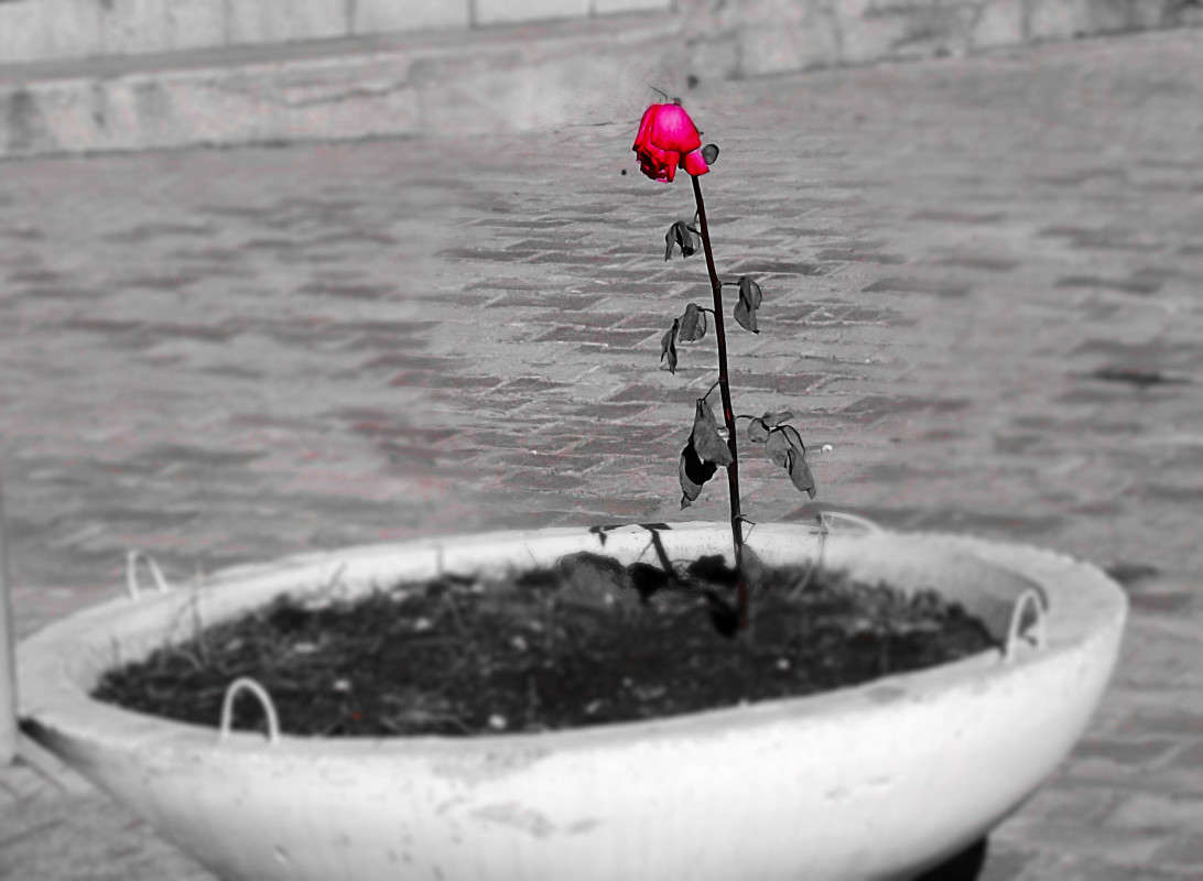 �������� ����� ������  �� PhotoGeek.ru #����� #������ ��� ������� #����� �������������� #�����-�����