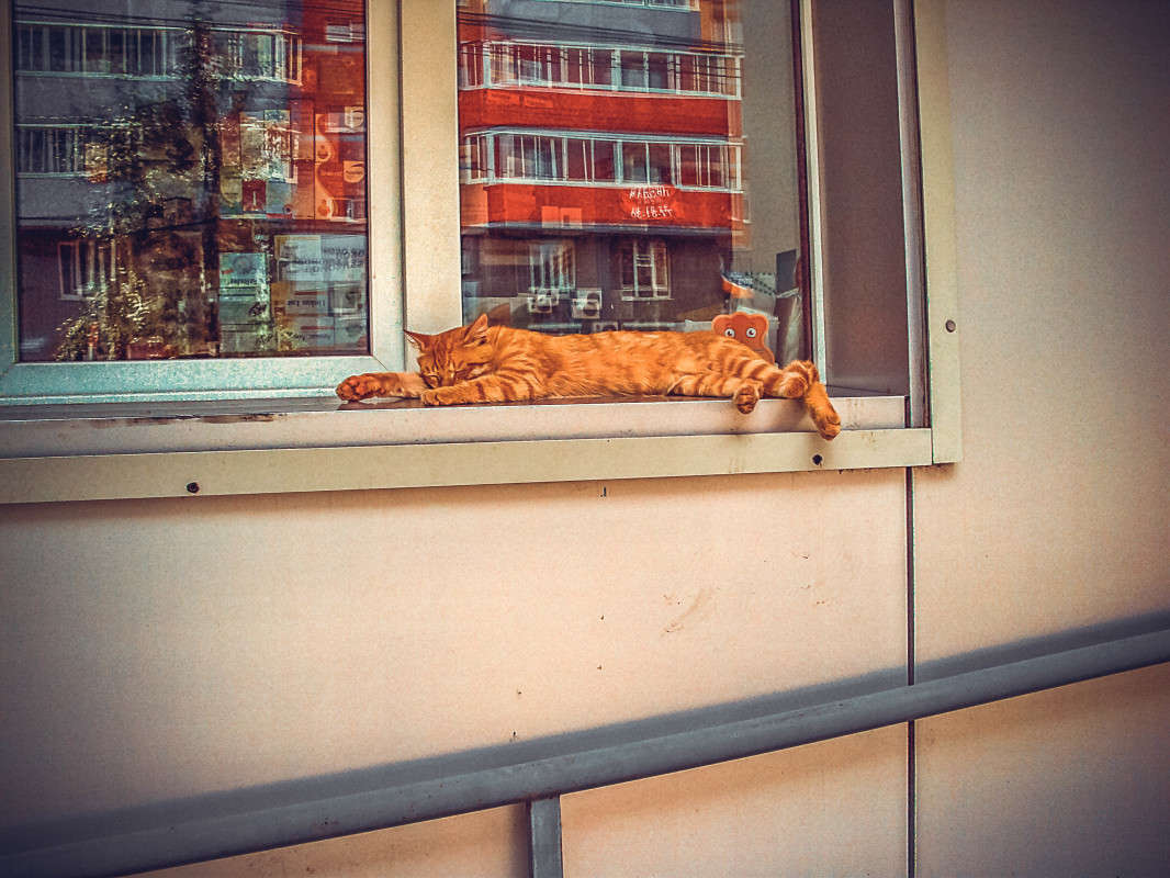 ����� ��� ����� ������  �� PhotoGeek.ru #����� #�������� ���