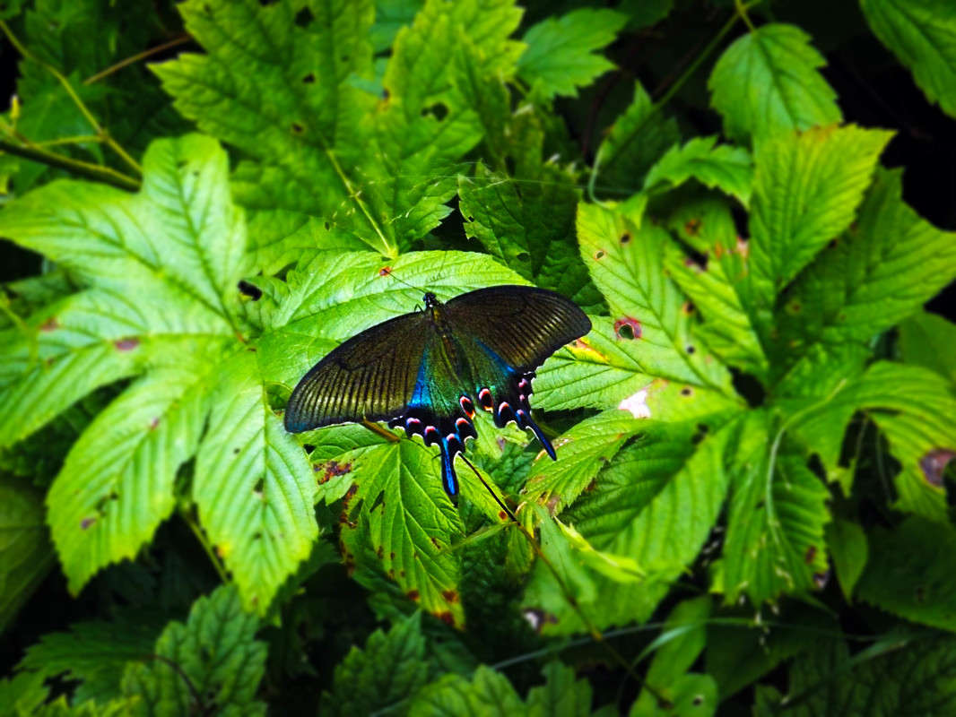 ������� ����� ������  �� PhotoGeek.ru #������ ��� �������