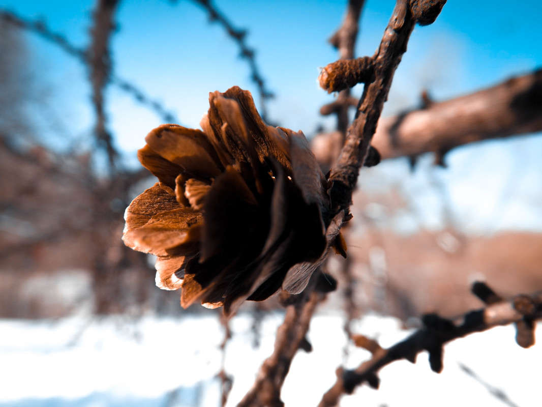 ����� ����������� ����� ������  �� PhotoGeek.ru #����� #������ ��� �������